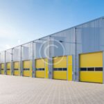 Impactul creșterii popularității pariurilor sportive asupra societății moderne din România